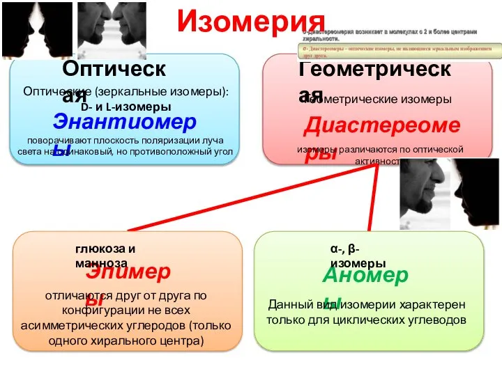 Оптическая Геометрическая Оптические (зеркальные изомеры): D- и L-изомеры Энантиомеры Геометрические изомеры поворачивают