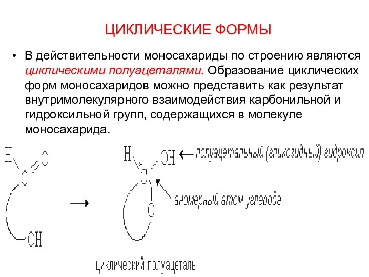 ЦИКЛИЧЕСКИЕ ФОРМЫ В действительности моносахариды по строению являются циклическими полуацеталями. Образование циклических