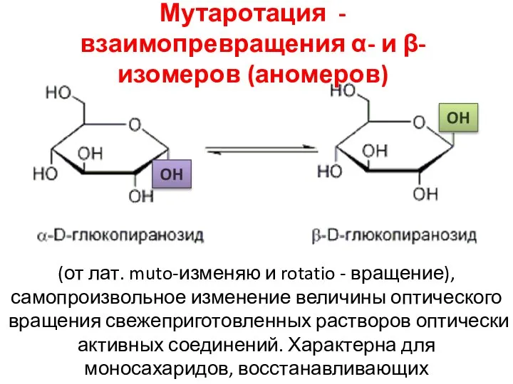 (от лат. muto-изменяю и rotatio - вращение), самопроизвольное изменение величины оптического вращения