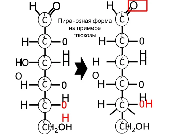 Н Н 0 Пиранозная форма на примере глюкозы