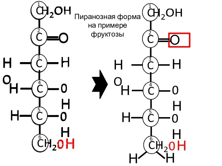 Н О Н 0Н НO Н 0Н 0 Н Н Н Пиранозная форма на примере фруктозы