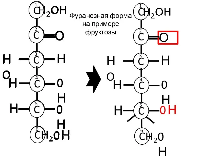 Н О Н НO Н 0Н 0 Н Фуранозная форма на примере фруктозы