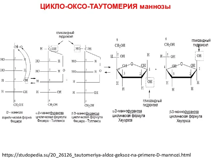 ЦИКЛО-ОКСО-ТАУТОМЕРИЯ маннозы https://studopedia.su/20_26126_tautomeriya-aldoz-geksoz-na-primere-D-mannozi.html