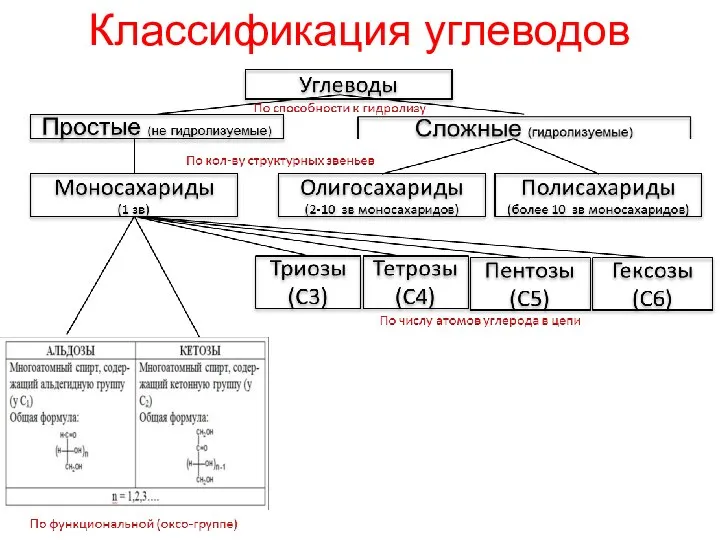 Классификация углеводов