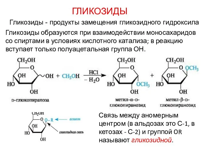 ГЛИКОЗИДЫ Гликозиды образуются при взаимодействии моносахаридов со спиртами в условиях кислотного катализа;