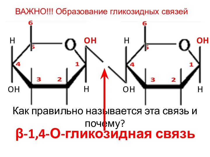 ВАЖНО!!! Образование гликозидных связей O H H OH OH H OH H