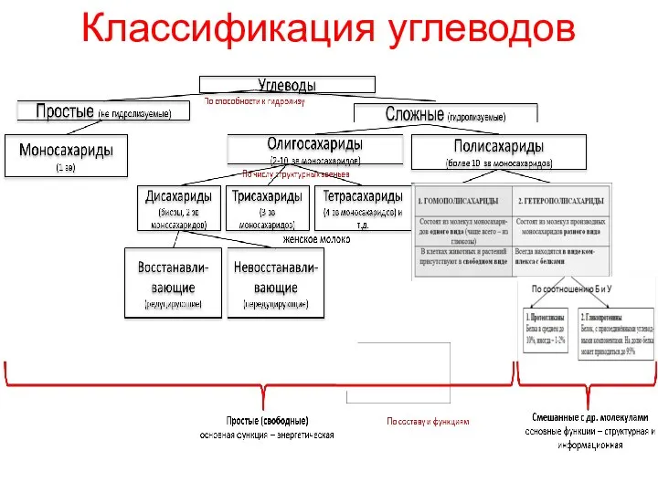 Классификация углеводов