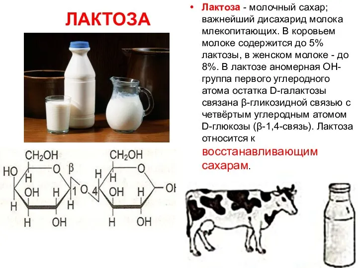 ЛАКТОЗА Лактоза - молочный сахар; важнейший дисахарид молока млекопитающих. В коровьем молоке