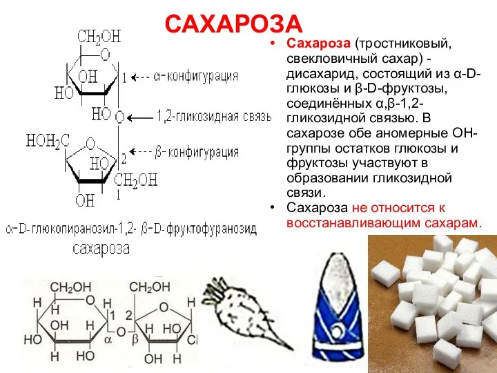 САХАРОЗА Сахароза (тростниковый, свекловичный сахар) - дисахарид, состоящий из α-D-глюкозы и β-D-фруктозы,