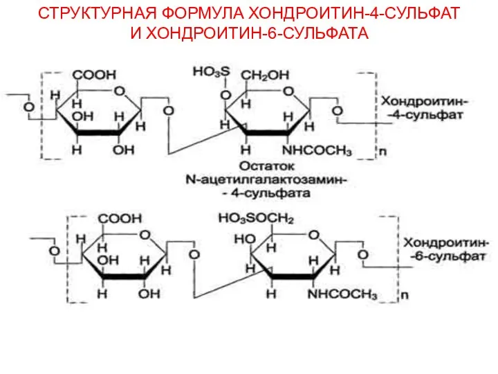 СТРУКТУРНАЯ ФОРМУЛА ХОНДРОИТИН-4-СУЛЬФАТ И ХОНДРОИТИН-6-СУЛЬФАТА