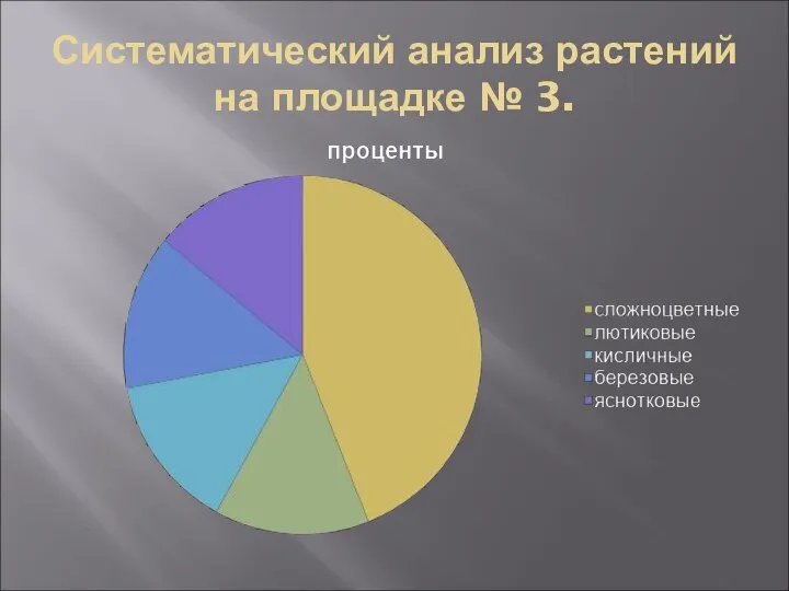 Систематический анализ растений на площадке № 3.