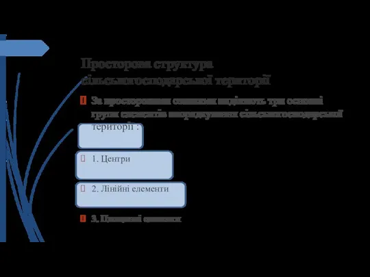 Просторова структура сільськогосподарської території За просторовими ознаками виділяють три основні групи елементів