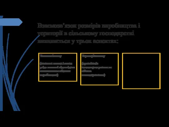 Взаємозв’язок розмірів виробництва і території в сільському господарстві виявляється у трьох аспектах: