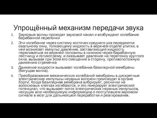 Упрощённый механизм передачи звука Звуковые волны проходят звуковой канал и возбуждают колебания