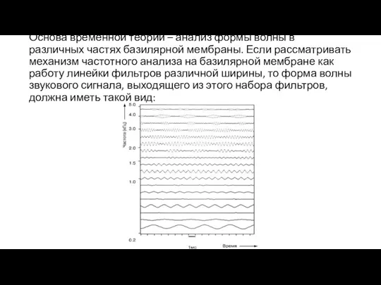 Основа временной теории – анализ формы волны в различных частях базилярной мембраны.