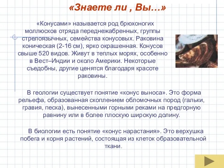 «Знаете ли , Вы…» «Конусами» называется род брюхоногих моллюсков отряда переднежабренных, группы