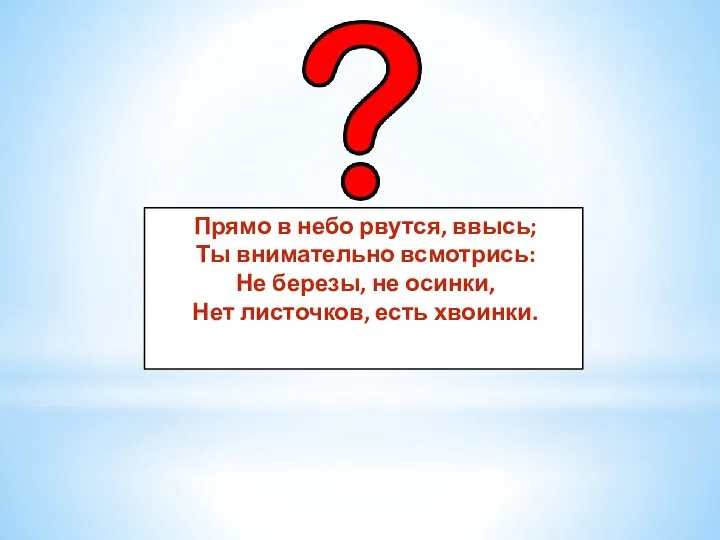 Прямо в небо рвутся, ввысь; Ты внимательно всмотрись: Не березы, не осинки, Нет листочков, есть хвоинки.