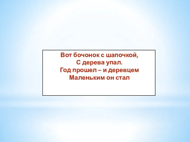 Вот бочонок с шапочкой, С дерева упал. Год прошел – и деревцем Маленьким он стал