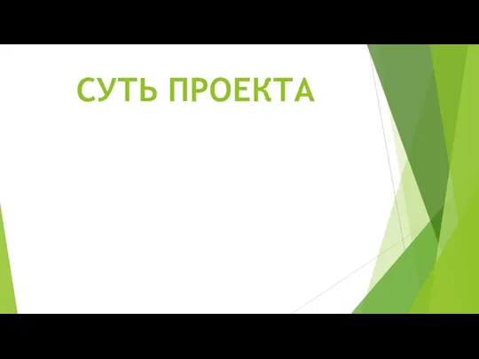 СУТЬ ПРОЕКТА