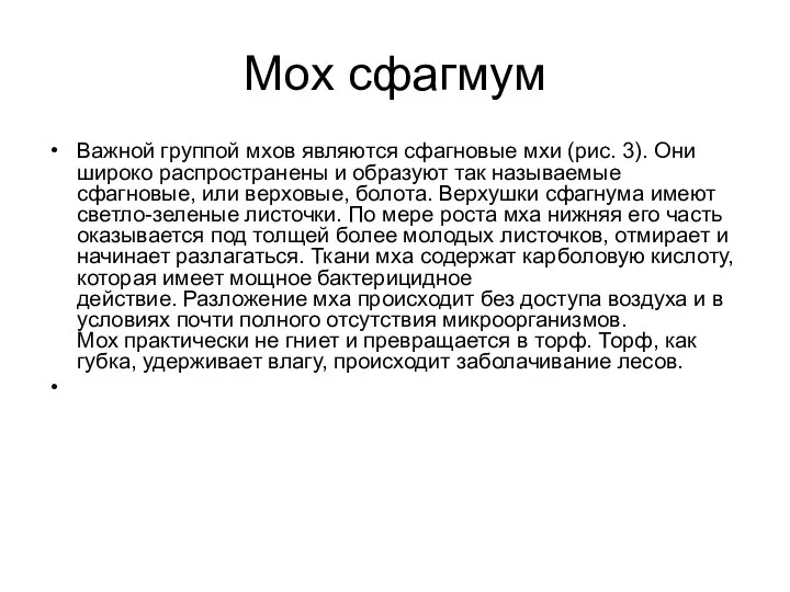 Мох сфагмум Важной группой мхов являются сфагновые мхи (рис. 3). Они широко