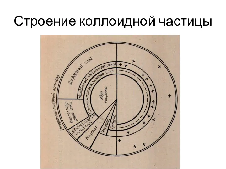 Строение коллоидной частицы