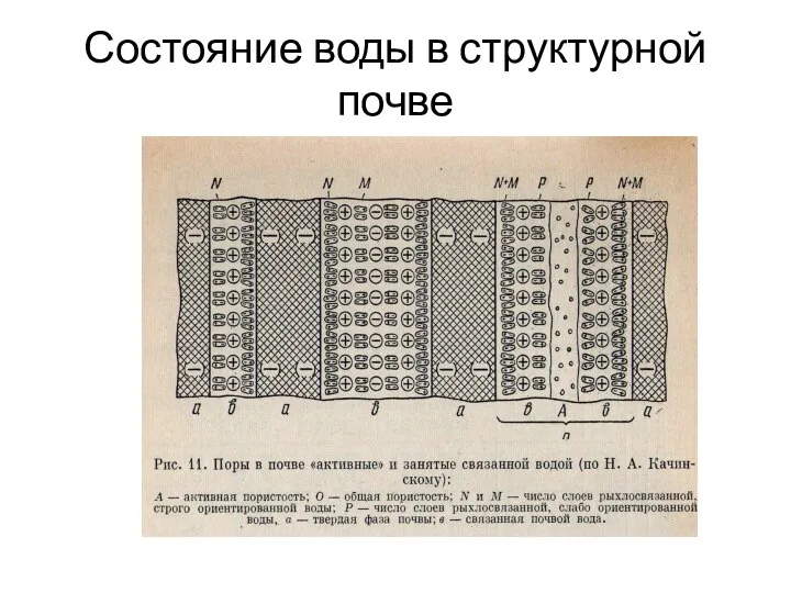 Состояние воды в структурной почве