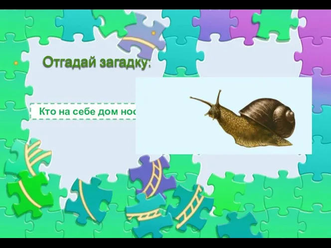 Отгадай загадку: Кто на себе дом носит?