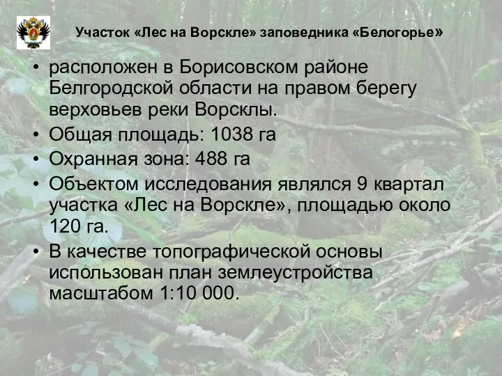Участок «Лес на Ворскле» заповедника «Белогорье» расположен в Борисовском районе Белгородской области