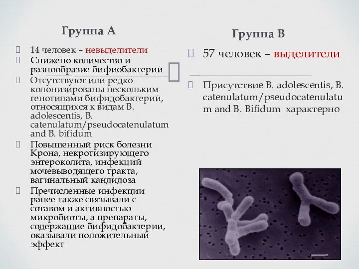 Группа А 14 человек – невыделители Снижено количество и разнообразие бифиобактерий Отсутствуют