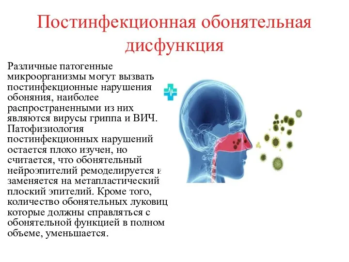 Постинфекционная обонятельная дисфункция Различные патогенные микроорганизмы могут вызвать постинфекционные нарушения обоняния, наиболее