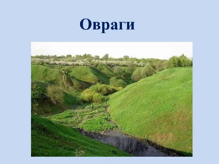 Овраги