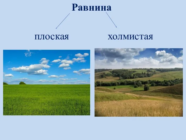 Равнина плоская холмистая