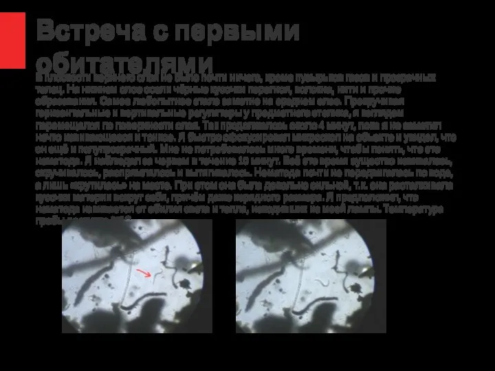 Встреча с первыми обитателями В плоскости верхнего слоя не было почти ничего,