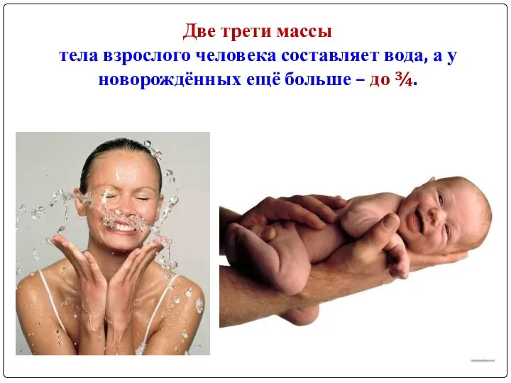 Две трети массы тела взрослого человека составляет вода, а у новорождённых ещё больше – до ¾.