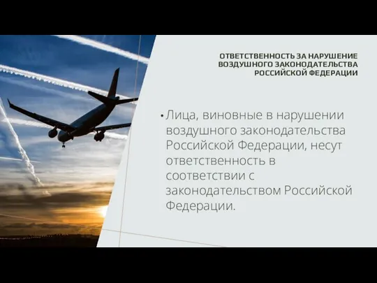 ОТВЕТСТВЕННОСТЬ ЗА НАРУШЕНИЕ ВОЗДУШНОГО ЗАКОНОДАТЕЛЬСТВА РОССИЙСКОЙ ФЕДЕРАЦИИ Лица, виновные в нарушении воздушного