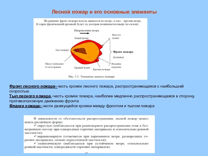 Лесной пожар и его основные элементы Фронт лесного пожара- часть кромки лесного