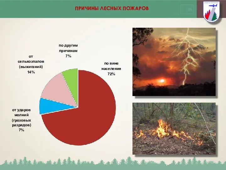 ПРИЧИНЫ ЛЕСНЫХ ПОЖАРОВ от сельхозпалов (выжиганий) 14% по другим причинам 7% по