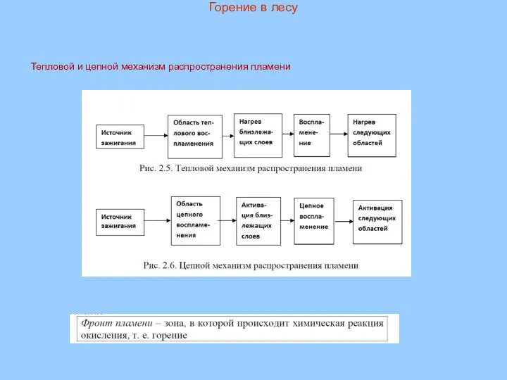 Горение в лесу Тепловой и цепной механизм распространения пламени