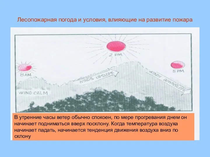 Лесопожарная погода и условия, влияющие на развитие пожара В утренние часы ветер