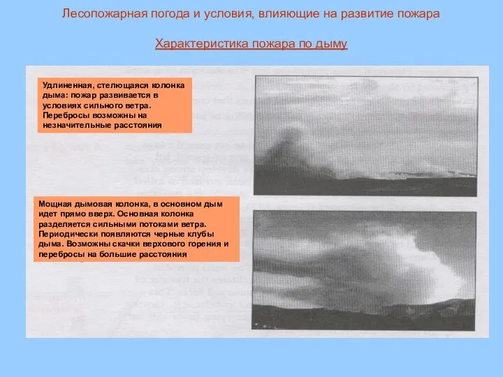 Лесопожарная погода и условия, влияющие на развитие пожара Характеристика пожара по дыму