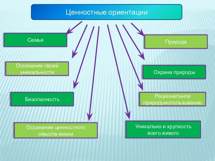 Ценностные ориентации Семья Осознание своей уникальности Охрана природы Природа Безопасность Уникально и