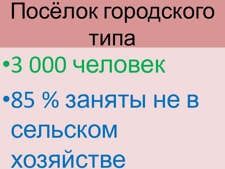 Посёлок городского типа 3 000 человек 85 % заняты не в сельском хозяйстве