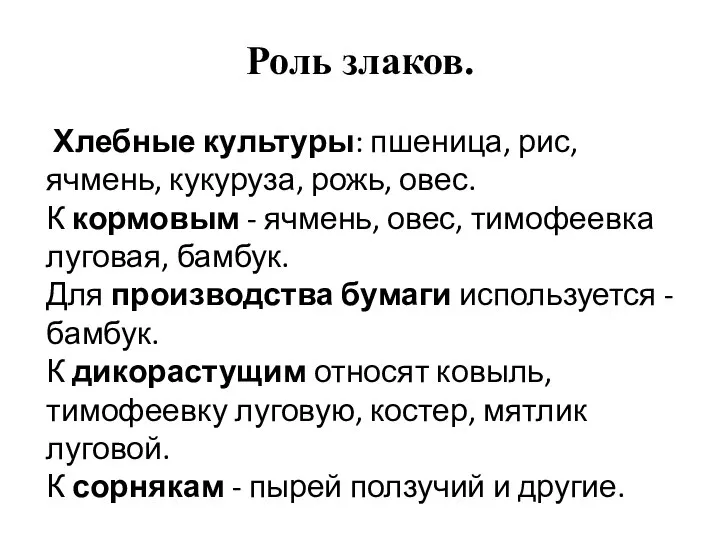 Роль злаков. Хлебные культуры: пшеница, рис, ячмень, кукуруза, рожь, овес. К кормовым