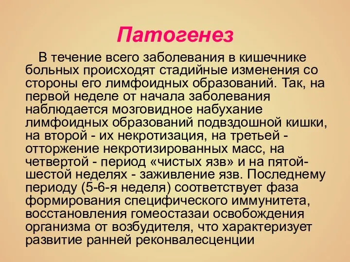 Патогенез В течение всего заболевания в кишечнике больных происходят стадийные изменения со