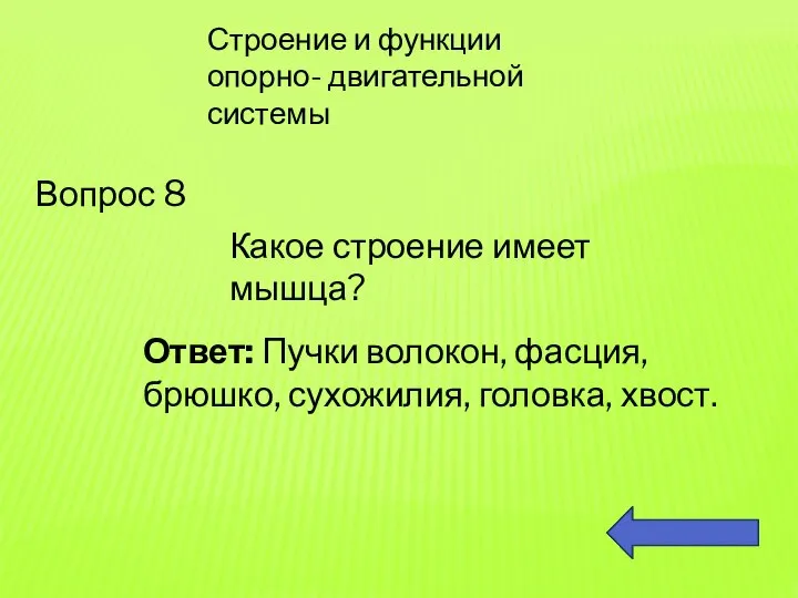 Строение и функции опорно- двигательной системы Вопрос 8 Какое строение имеет мышца?