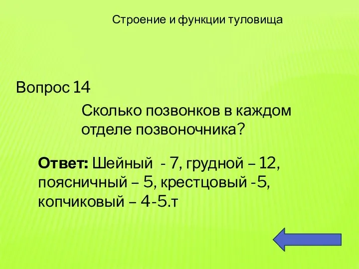 Вопрос 14 Строение и функции туловища Сколько позвонков в каждом отделе позвоночника?