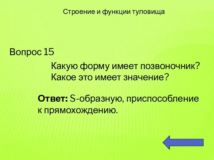 Вопрос 15 Строение и функции туловища Какую форму имеет позвоночник? Какое это