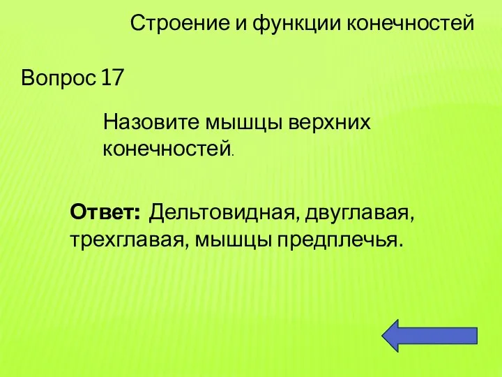 Вопрос 17 Строение и функции конечностей Назовите мышцы верхних конечностей. Ответ: Дельтовидная, двуглавая, трехглавая, мышцы предплечья.