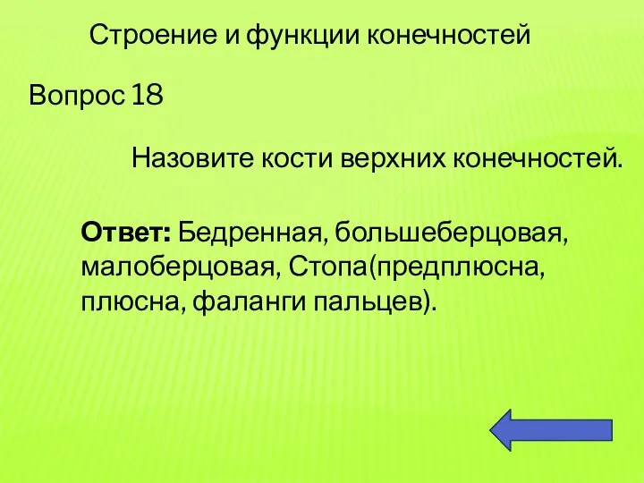 Вопрос 18 Строение и функции конечностей Назовите кости верхних конечностей. Ответ: Бедренная,