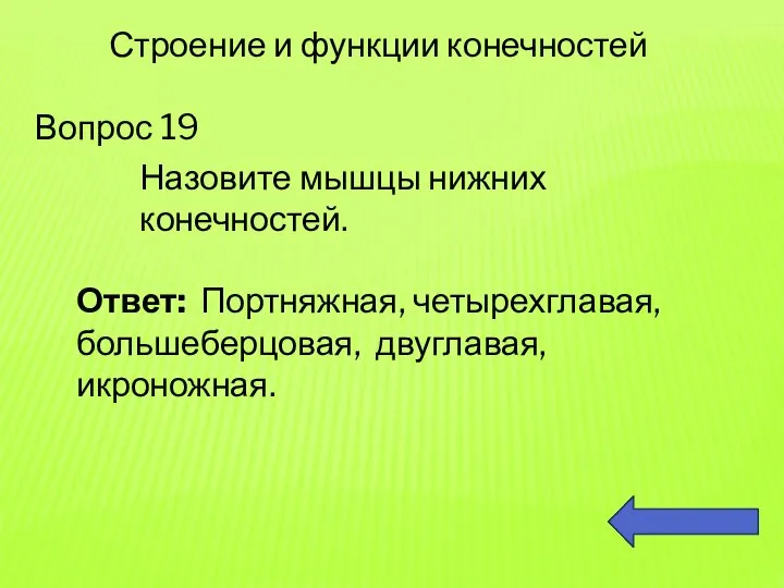 Вопрос 19 Строение и функции конечностей Назовите мышцы нижних конечностей. Ответ: Портняжная, четырехглавая, большеберцовая, двуглавая, икроножная.